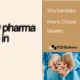 Top 10 PCD pharma Companies in Karnataka