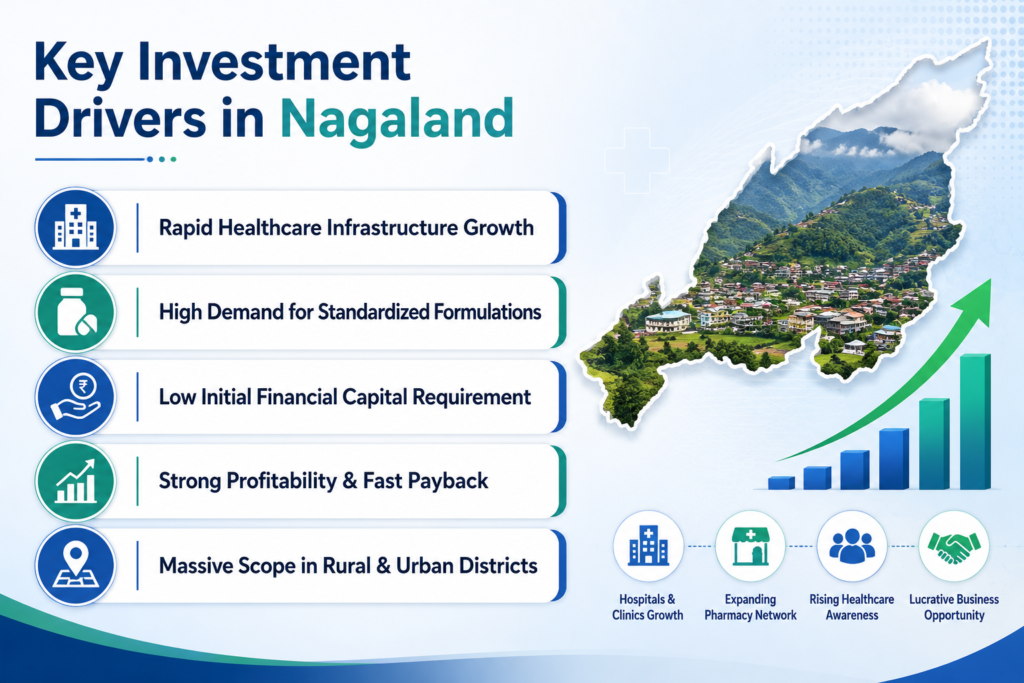 investment drivers in nagaland